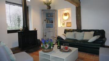 TV connectée, cheminée, lecteur de DVD