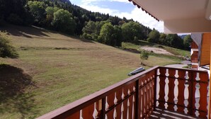 Un balcon donnant sur un champ verdoyant et des montagnes boisées.