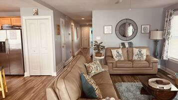 TV connectée, cheminée, jeux vidéo, lecteur de DVD