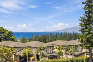 A coastal residential area with houses, a clear sky, and a view of the ocean.