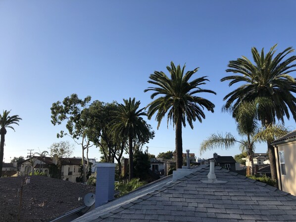 A residential area with a paved pathway, palm trees, and houses with satellite dishes. - Spacious, 1 bedroom "Villa del Mar" within waking distance to the Beach & Shops (Newport Beach)