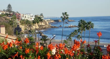 Spacious, 1 bedroom "Villa del Mar" within waking distance to the Beach & Shops