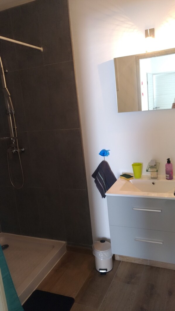 A bathroom with a shower, a sink, a mirror, and a toilet. - Seafront villa private piscIne, clim. terrace (Cerbère)