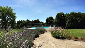 Un sendero conduce a una piscina rodeada de exuberante follaje y plantas florecientes.