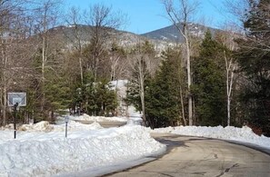 Surrounded by a serene forest, this scenic road winds through the mountains, offering a picturesque backdrop for outdoor activities like basketball.