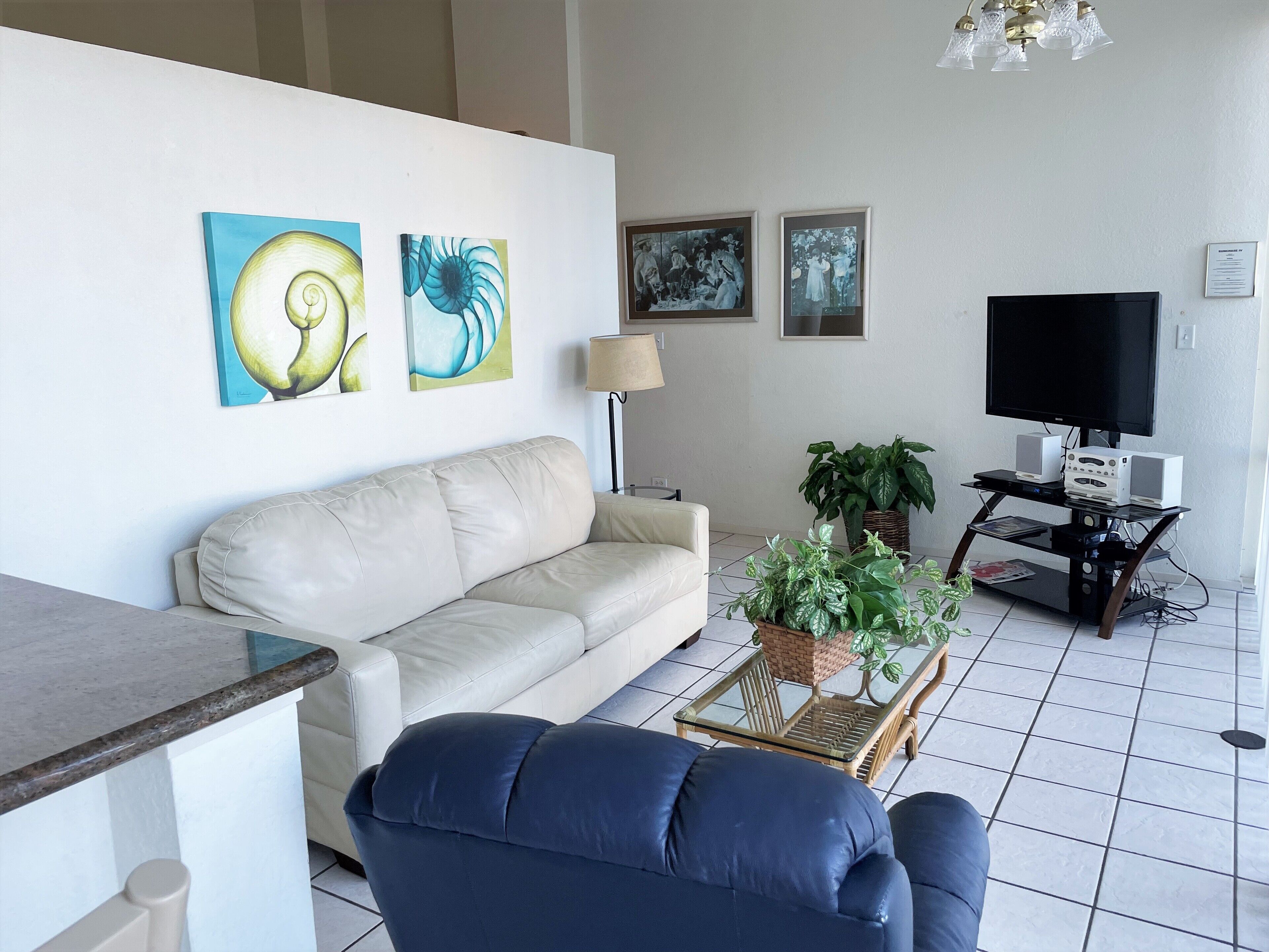 Studio Loft with a Tree Top View Hide away!