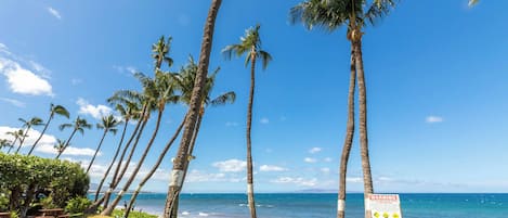 A beach with palm trees, a warning sign, and a person relaxing on a lounge chair.