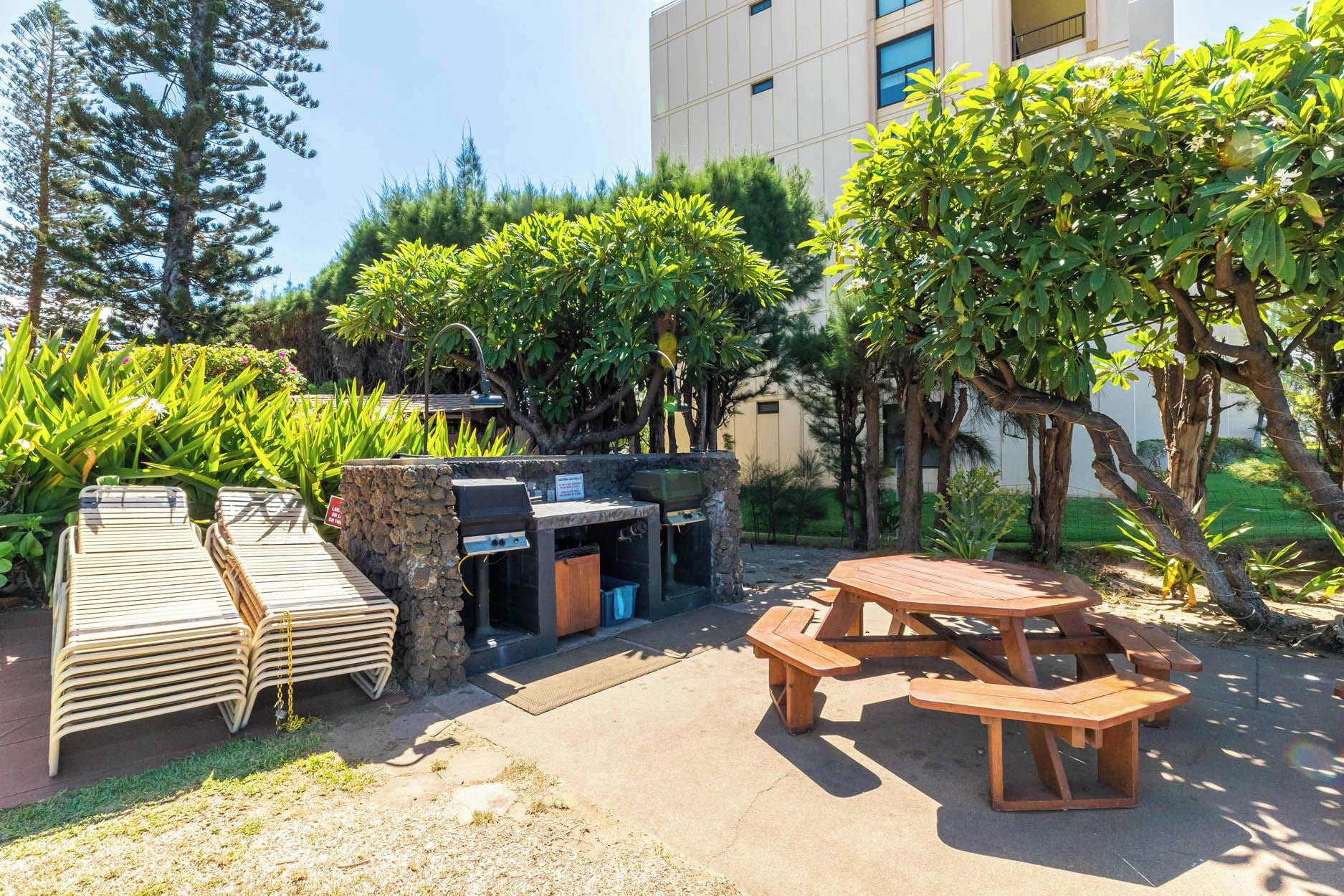 Un espace extérieur aménagé en terrasse, avec un barbecue, des fauteuils de jardin en bois et une table de pique-nique.