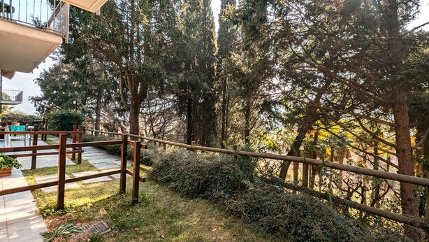 Een balkon met uitzicht op hoge bomen en een stenen pad dat leidt naar een zitgedeelte.