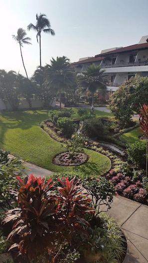 Property grounds - Ocean View Condo with Large Lanai (Kailua)