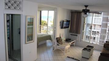 Smart TV, DVD player, books, music library