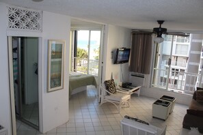 Smart TV, DVD player, books, music library