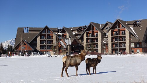 🍁Mountain Views, Pools, Fitness, Restaurant & MORE, we're accepting bookings!