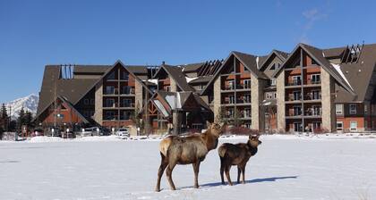 🍁Mountain Views, Pools, Fitness, Restaurant & MORE, we're accepting bookings!