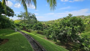 A lush green landscape with a well-maintained lawn, a stone pathway, and a variety of trees. - Luxury Mountain Home with Ocean and Rain Forest Views.  Newly tiled pool! (Chontales)