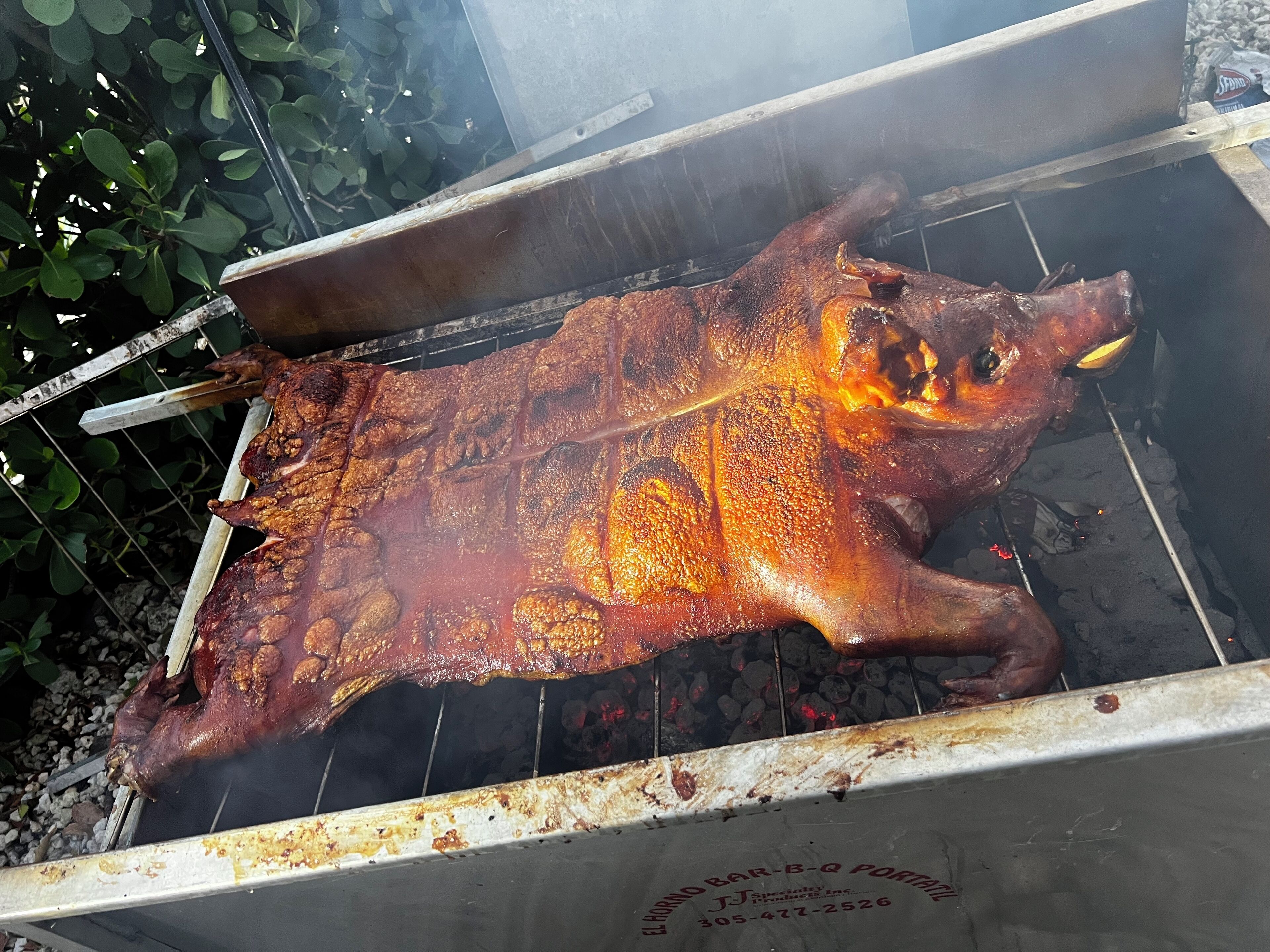 A whole roasted pig on a spit over charcoal, with a metal grill and a logo on the side.