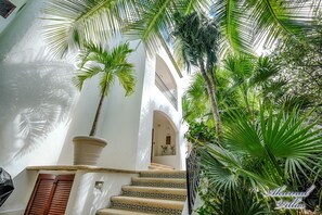 Áreas de la propiedad