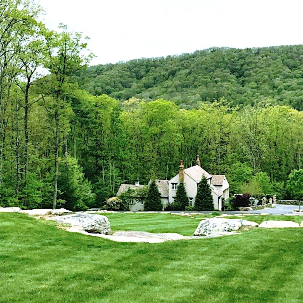 Partial Proceeds to Make A Wish Foundation and Non-Profit Wildlife Rescue Group