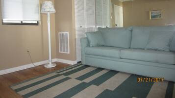 Smart TV, DVD player, video library