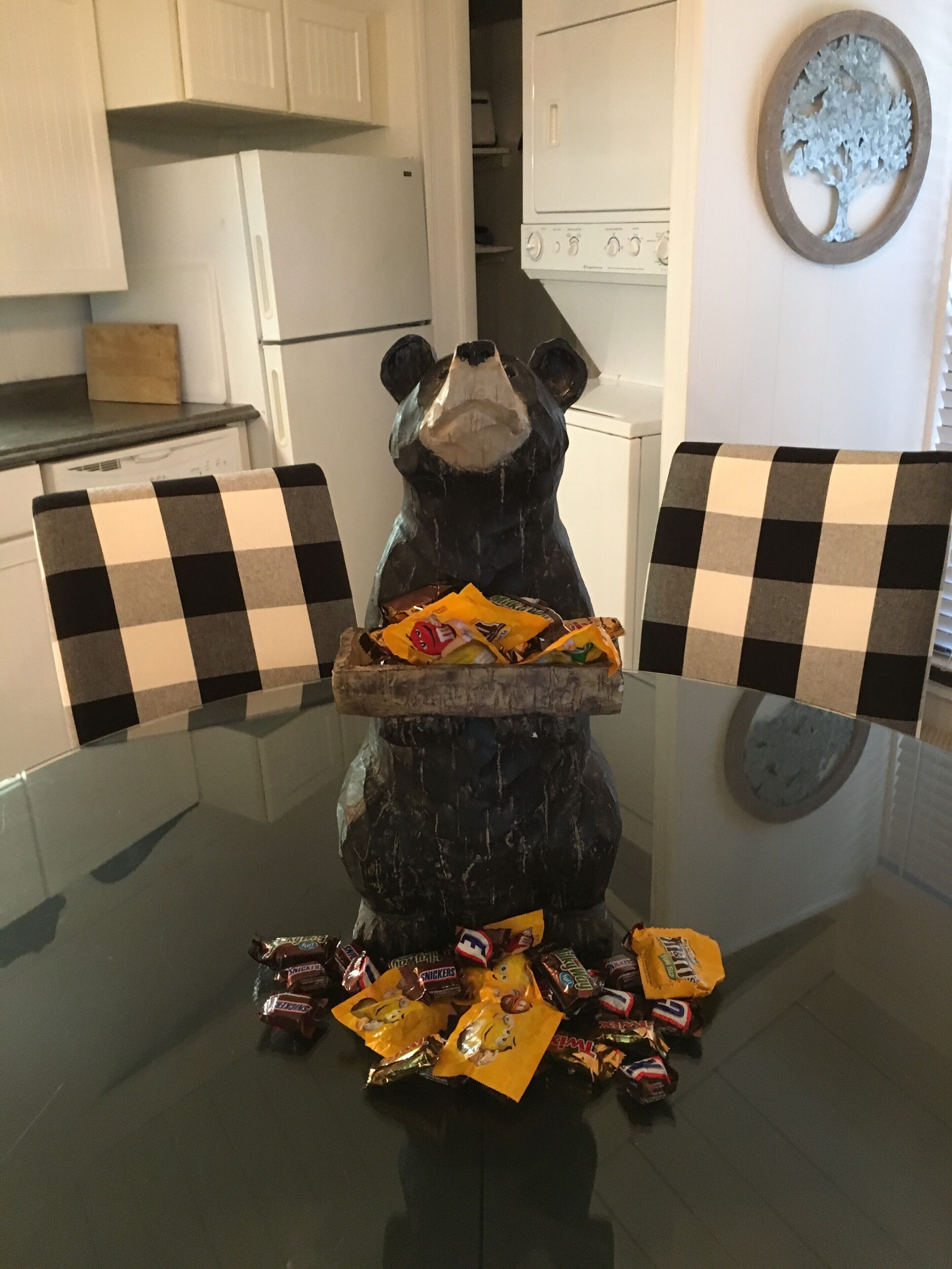 COOL SUMMER GET-AWAY! AMAZING IN THE FALL!