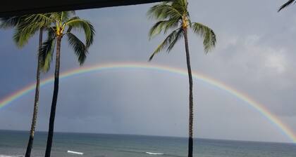 True oceanfront L204 w/180° amazing views now thru 2025 at low rates from 225.