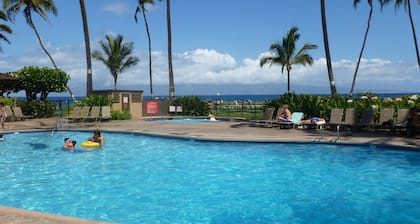 True oceanfront L204 w/180° amazing views now thru 2025 at low rates from 225.