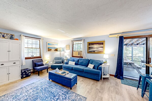 TV, fireplace, books