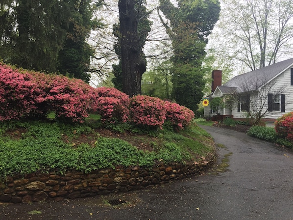Overnattingsstedets uteområder