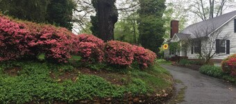 Yadkin Valley has the same viticulture stamp as NAPA.  Canoes and Kayaks!!