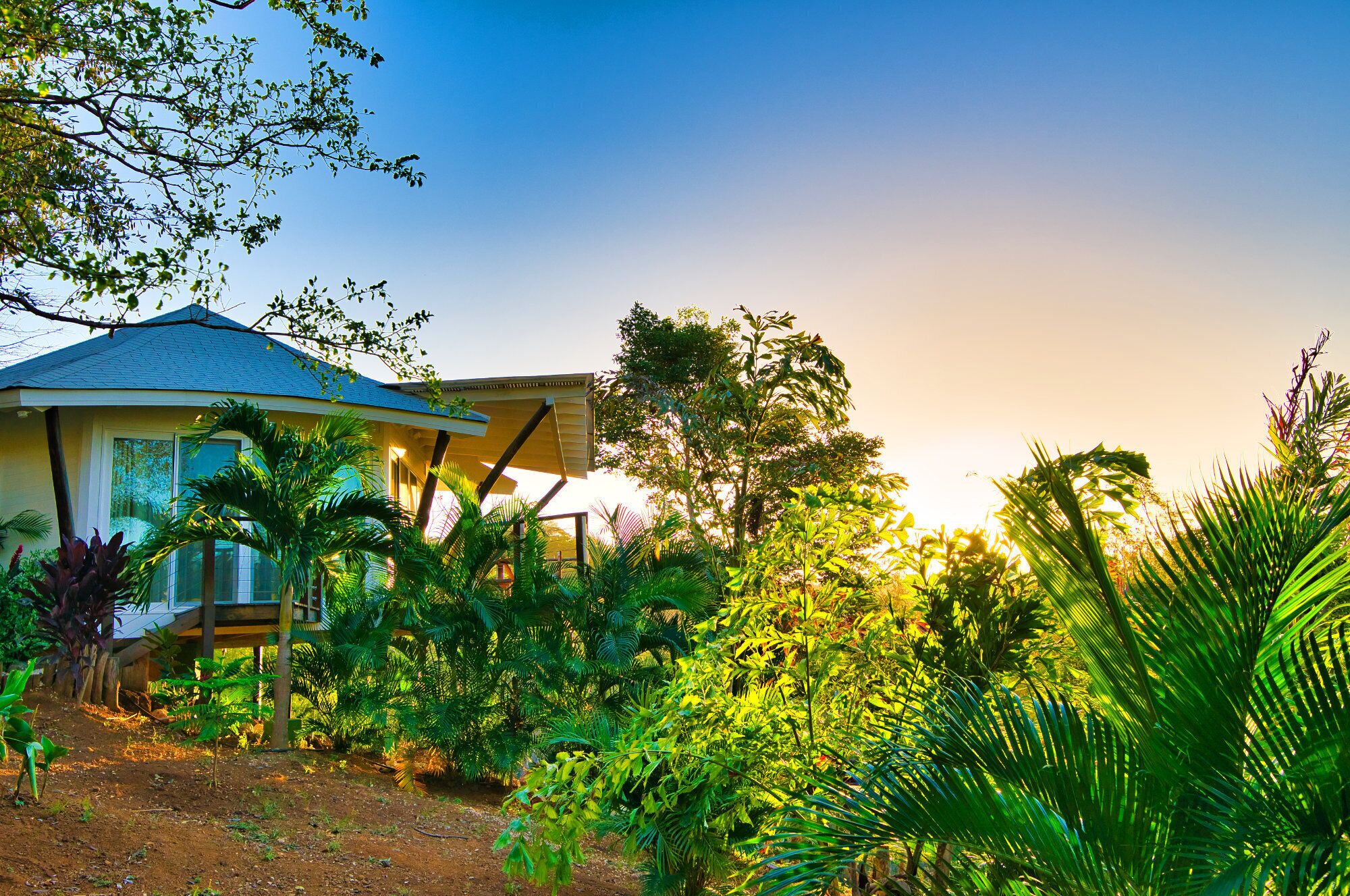 A house with a covered porch surrounded by lush greenery and a clear sky.