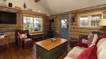 Télévision, cheminée, jeux vidéo, lecteur de DVD