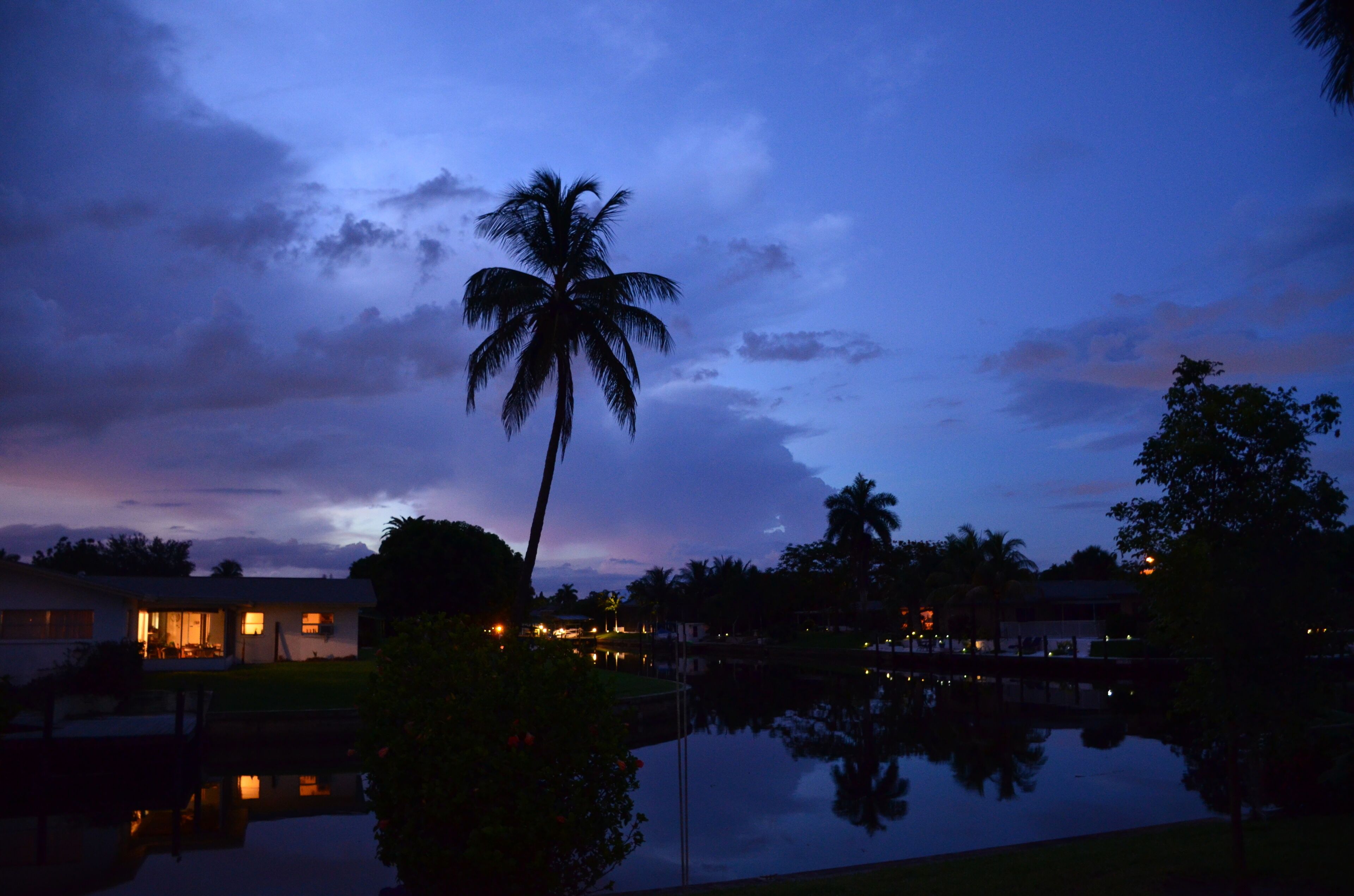 A serene evening scene with a clear view of a house, a palm tree, and a calm water body reflecting the surroundings.
