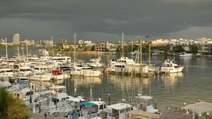 Un port de plaisance où sont amarrés de nombreux bateaux, entouré de bâtiments et de palmiers.