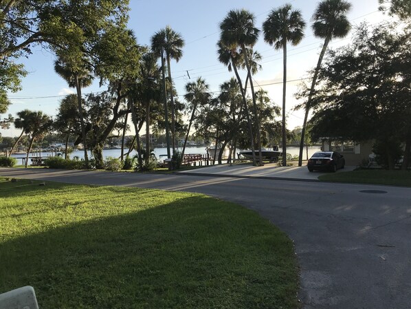 A residential street with a grassy median, palm trees, and a body of water in the background.