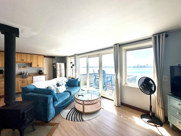 Smart TV, fireplace, books