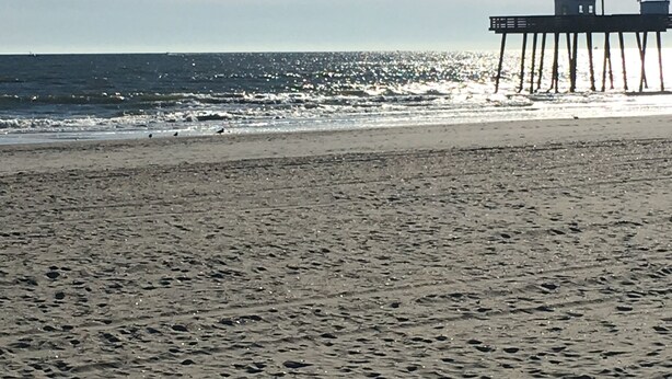 A beach with a pier extending into the ocean. - Four Blocks To Beach & Boardwalk  + Pet Friendly (Ocean City)