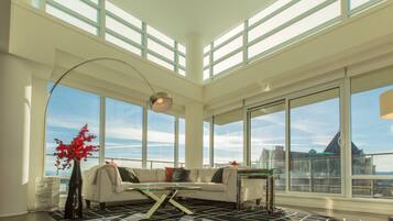 电视、壁炉、DVD 播放器、音乐库