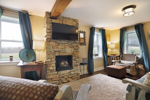 Smart TV, chimenea, reproductor de DVD y libros 