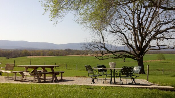 Un montaje para picnic con bancos y una mesa en un campo cubierto de césped, con un árbol y montañas al fondo.