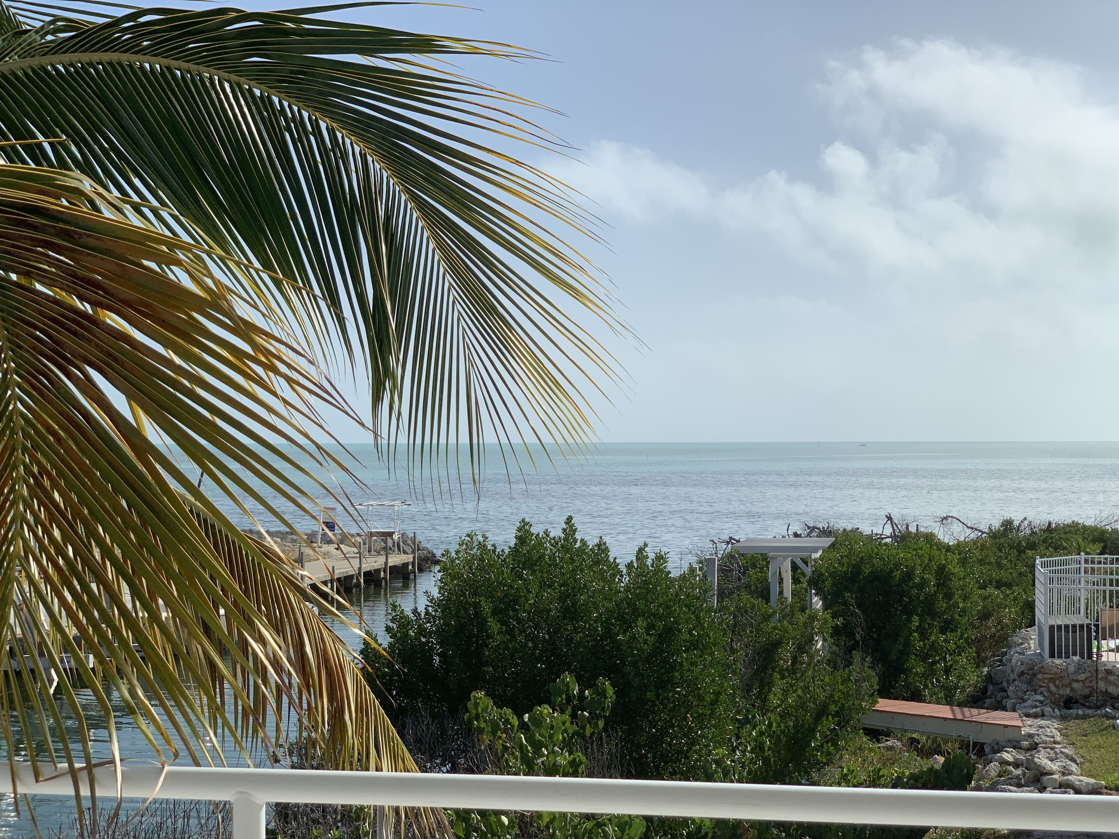 View from upstairs porch