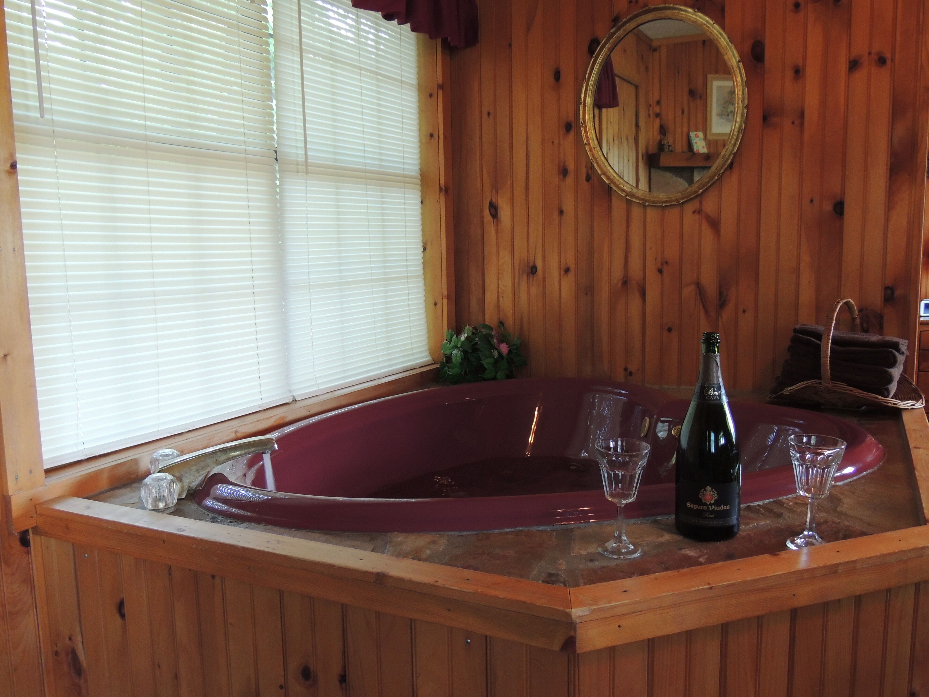 Beautiful, Affordable, Cabin Near Pigeon Forge For Couples!