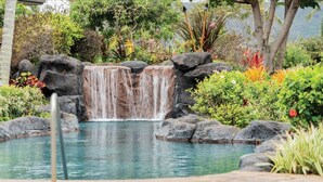 Una piscina con cascada rodeada de rocas y plantas diversas.