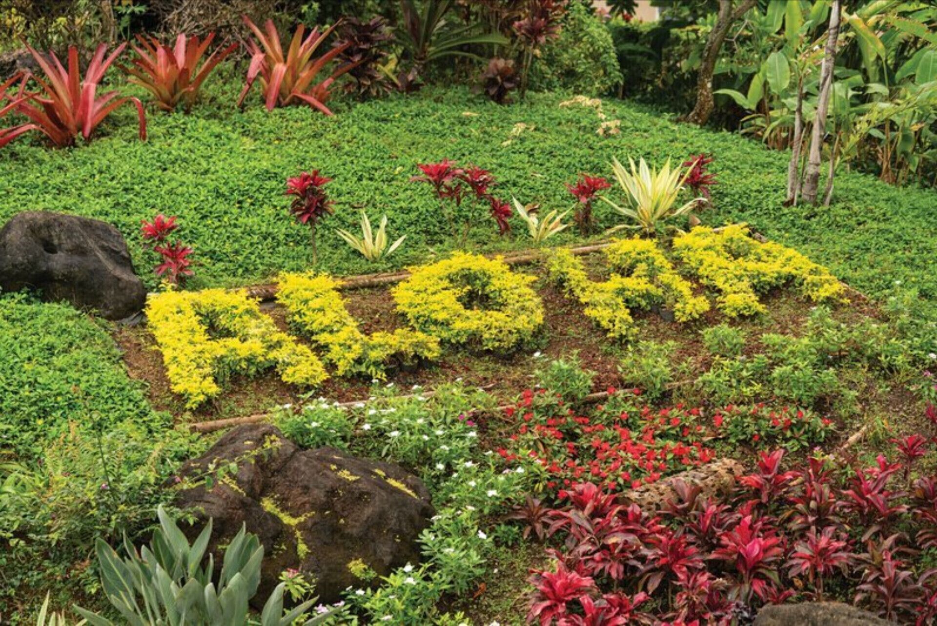 A garden with a variety of plants and a rock formation spelling out "ALPHA".