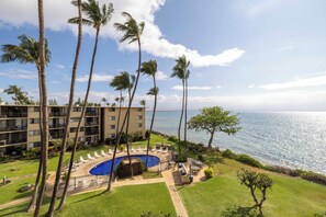 A hotel with a pool, palm trees, and a view of the ocean.