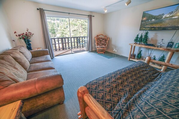 电视、壁炉、DVD 播放器、影片库