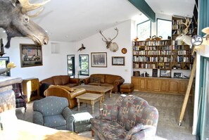 Televisio, takka, DVD-soitin, kirjoja