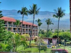 Property grounds - Remodeled ONE BEDROOM in the Maui Vista. Beach across the street! (Kihei)