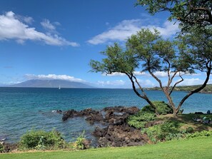 Beach nearby, sun-loungers, beach towels - Remodeled ONE BEDROOM in the Maui Vista. Beach across the street! (Kihei)