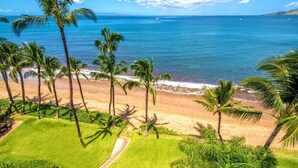 A beach with palm trees and a clear view of the ocean.