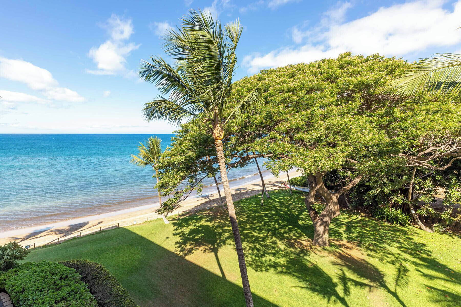 A tropical beach with palm trees and a clear view of the ocean.